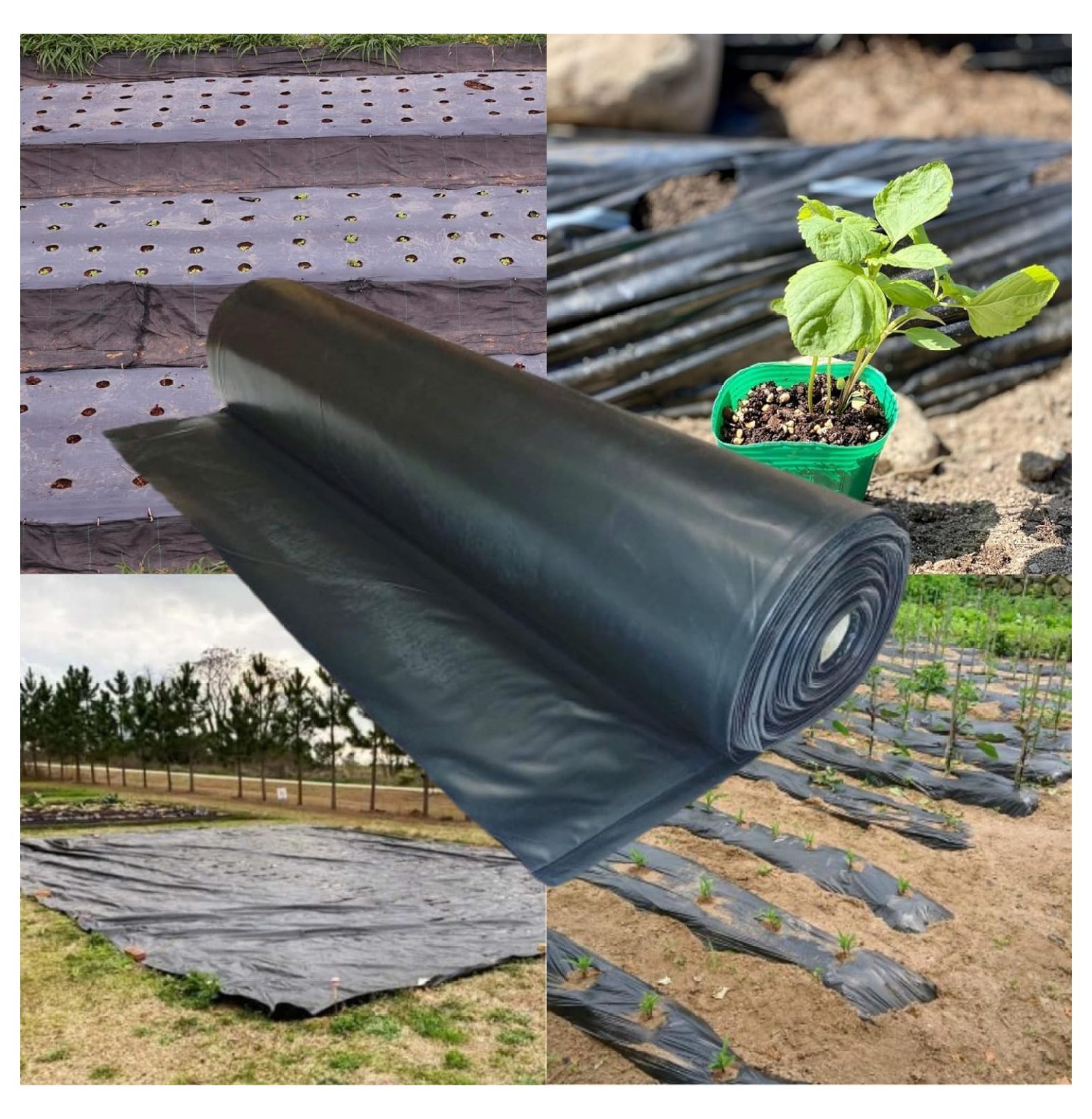 Gexandy - Weed Control 4 Mil Black Plastic Sheeting - Heavy Duty Weed Barrier Landscape Fabric for Outdoor Gardens, Non Woven Weed Blocker Fabric, Weed Control (3' x 100')